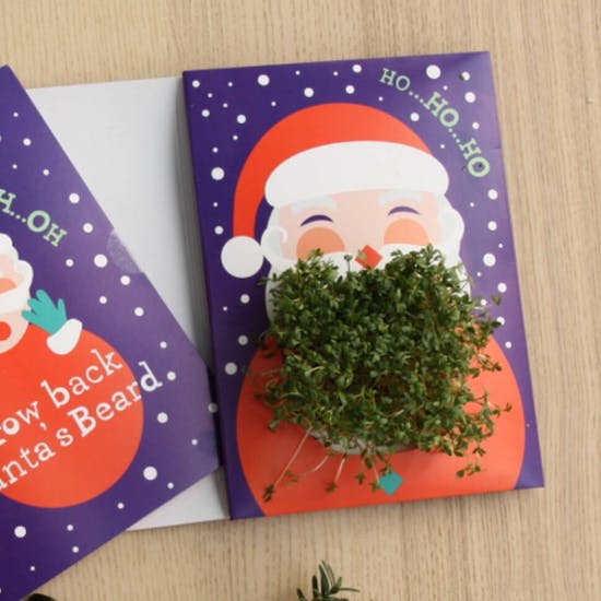Grow Your Own Santa Beard Christmas Card