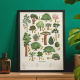 The Chartologist Trees Scratch Off Print