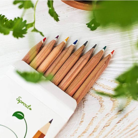 Pack Of Eight Mixed Sprouting Seed Pencils