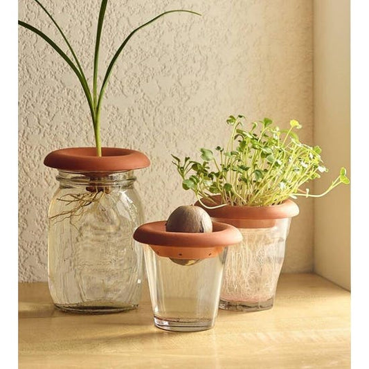 Set Of Three Terracotta Seed Sprouters