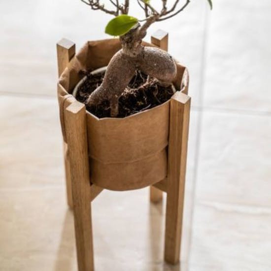 Oak Wood Stand With Washable Craft Paper Pot