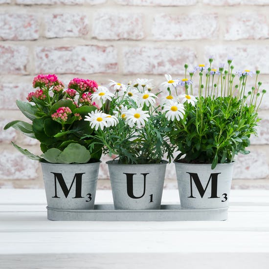 Personalised Set Of Three Zinc Buckets In A Tray
