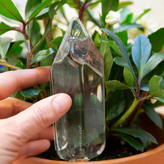 Water Your Plant From A Crystal
