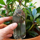 Water Your Plant From A Crystal