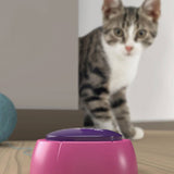 Cat Whisperer Sound Button