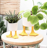 Ceramic Duck Feet Planters