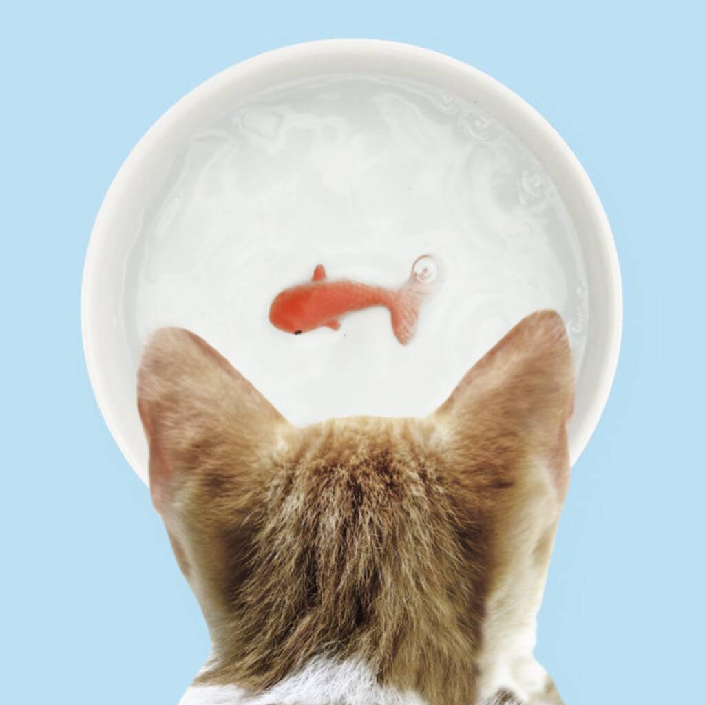 Goldfish Cat Water Bowl