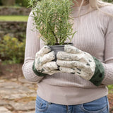Hundred Acre Wood Adult Short Garden Gloves