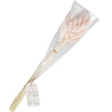 Soft Pink Bunny Tails Dried Grass